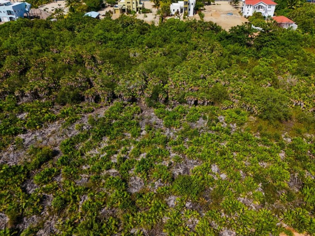 listing image with ID 68189