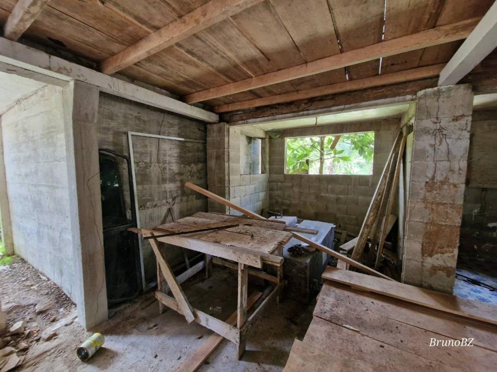 listing image with ID 67493