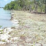 listing image thumbnail with ID 68205