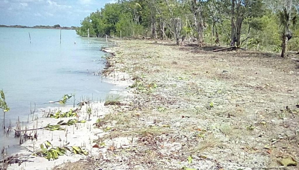 listing image with ID 68205