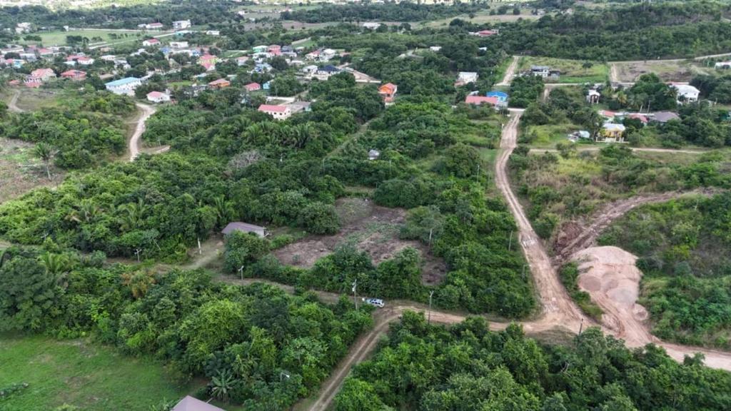 listing image with ID 67167