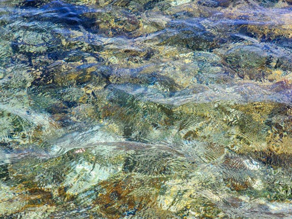 listing image with ID 65080