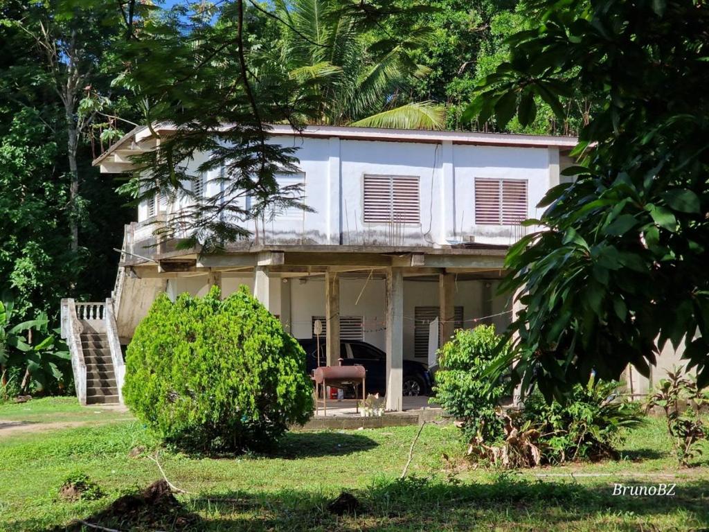 listing image with ID 63888