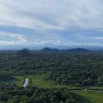 listing image thumbnail with ID 67188