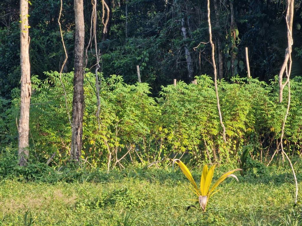 listing image with ID 64035