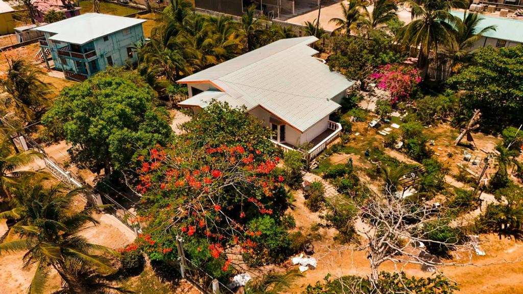 listing image with ID 63771