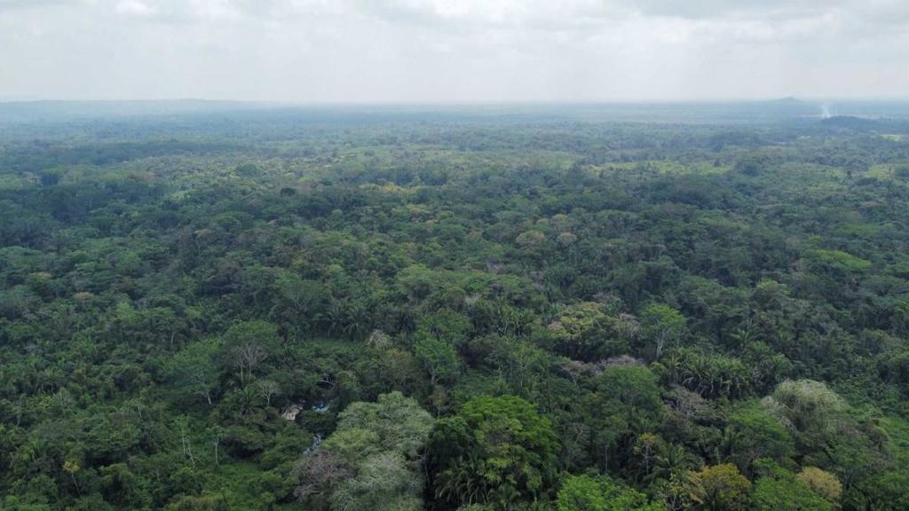 listing image with ID 69181