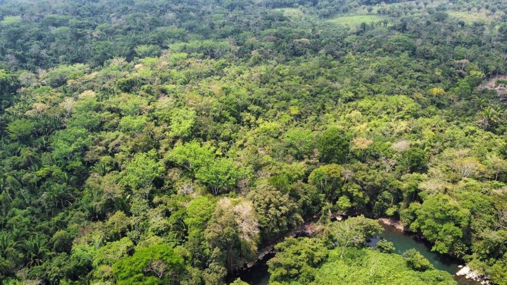 listing image with ID 69169