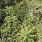 listing image thumbnail with ID 63765