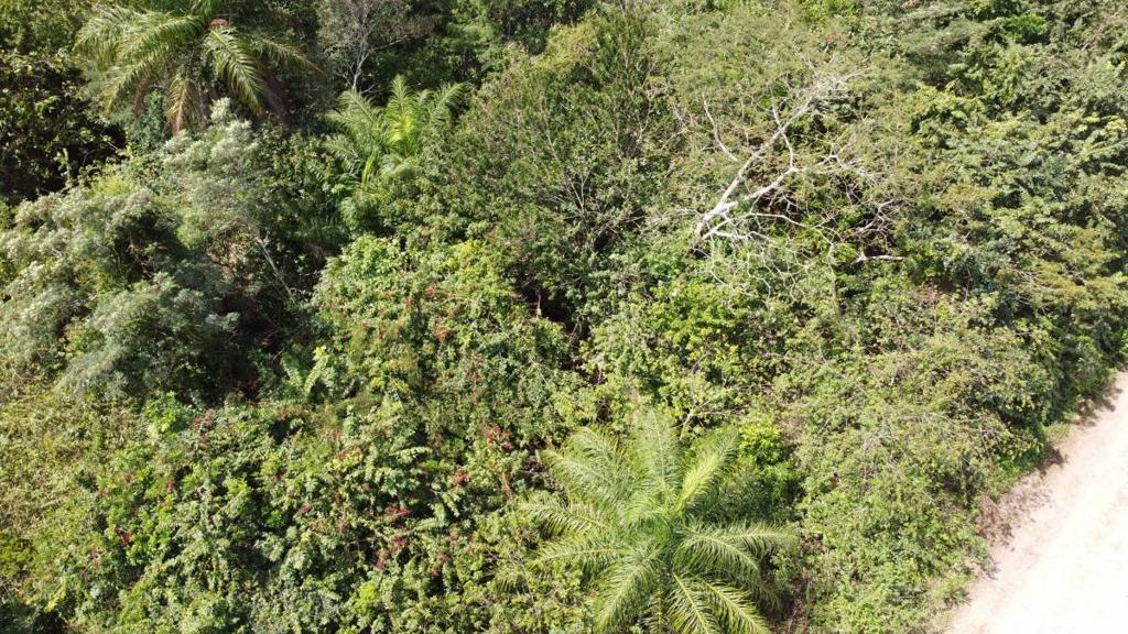 listing image with ID 63765