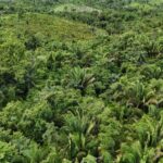 listing image thumbnail with ID 67085