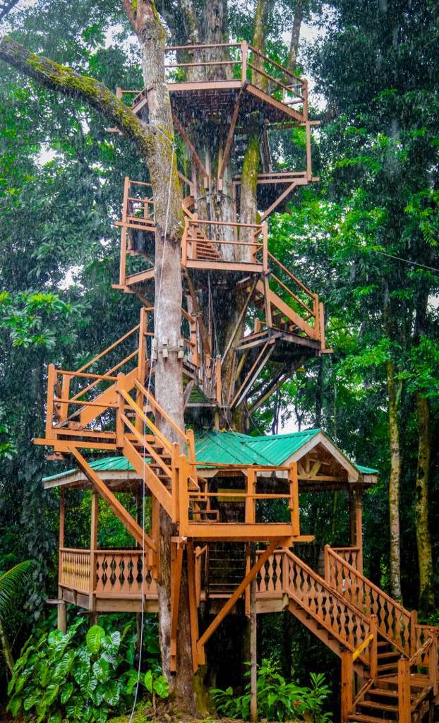 listing image with ID 63916