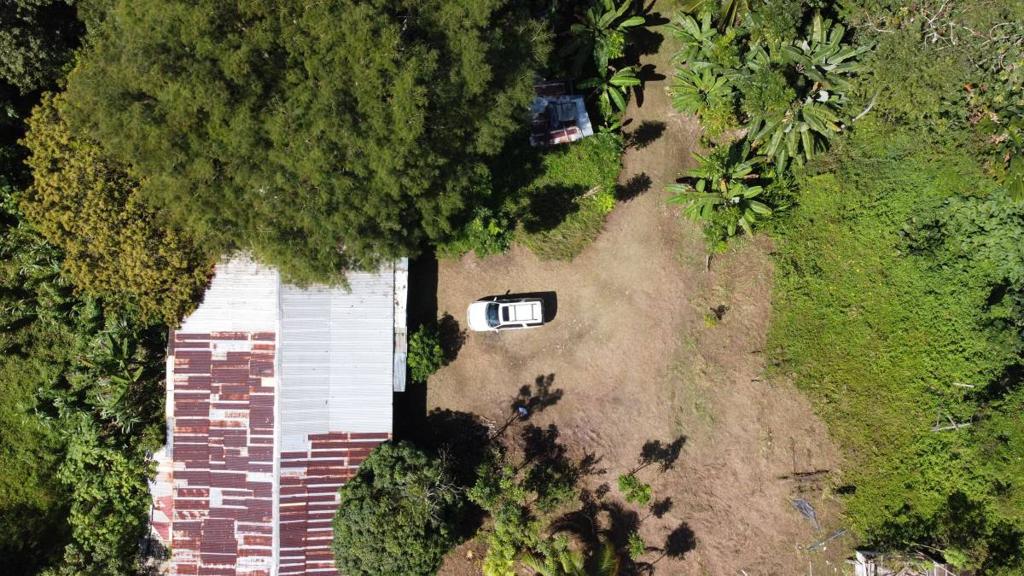 listing image with ID 64238