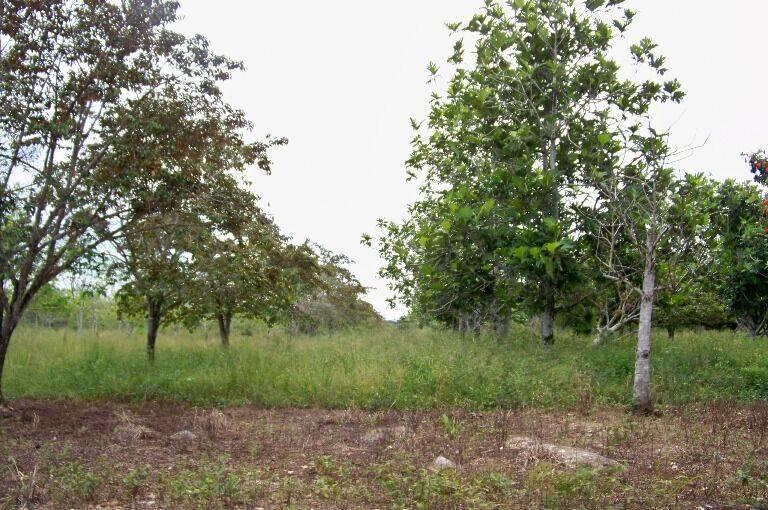 listing image with ID 69379