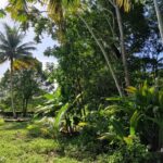 listing image thumbnail with ID 63900