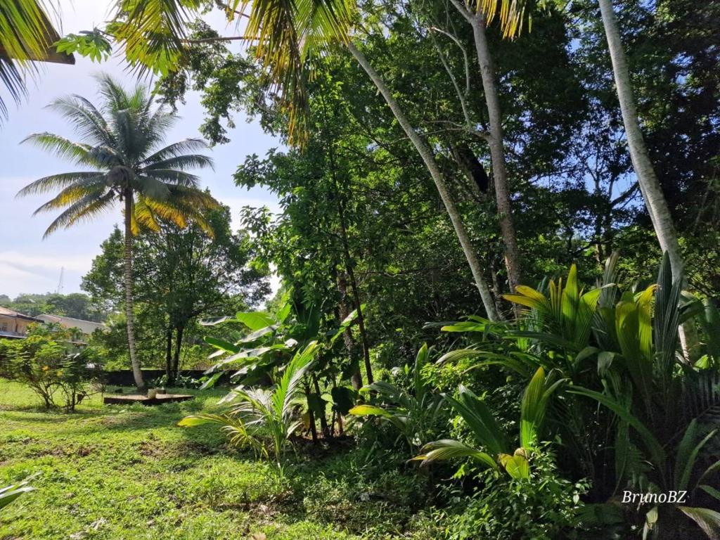 listing image with ID 63900