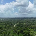 listing image thumbnail with ID 68290