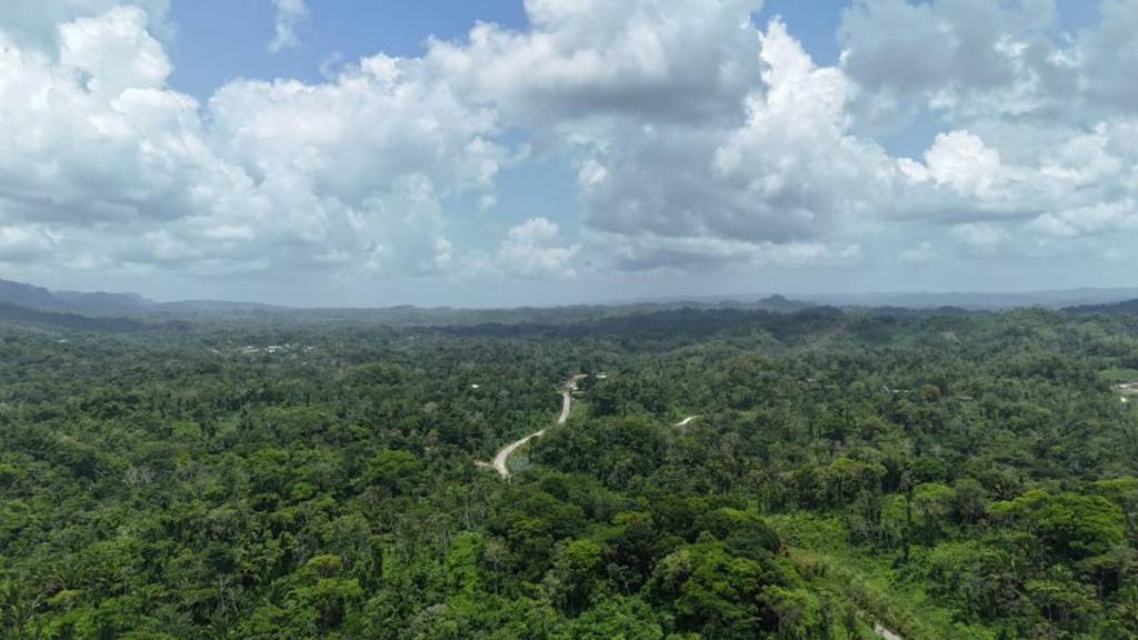 listing image with ID 68290