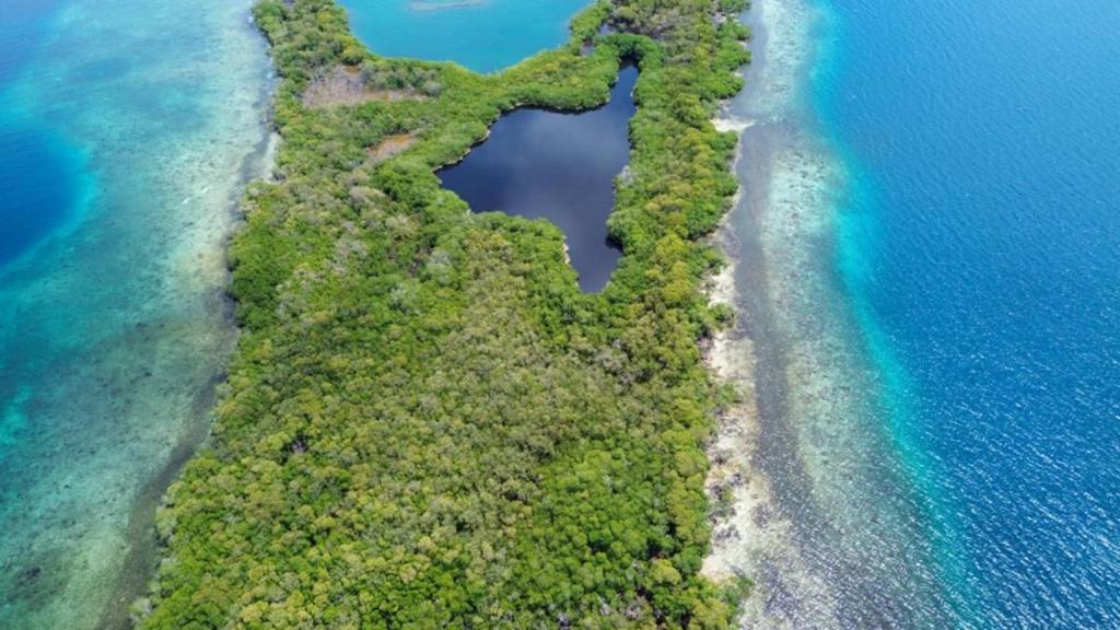 listing image with ID 66862