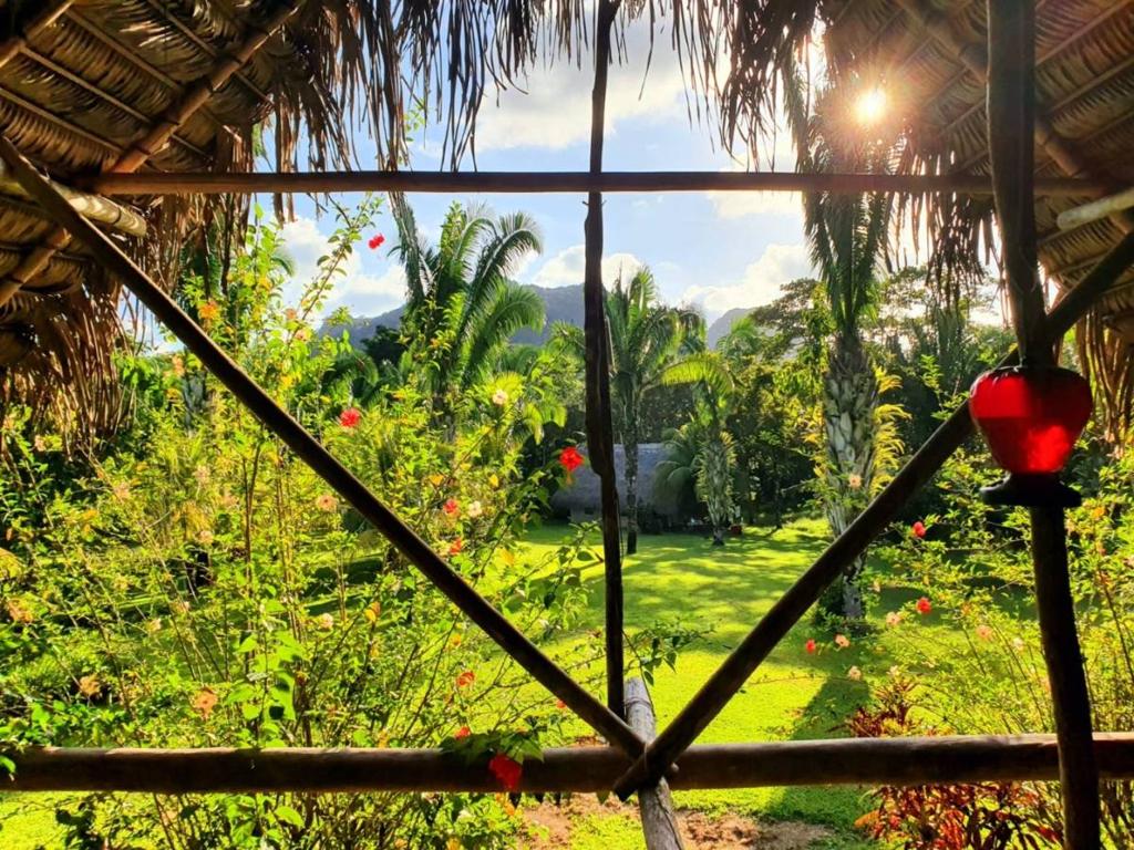 listing image with ID 67779