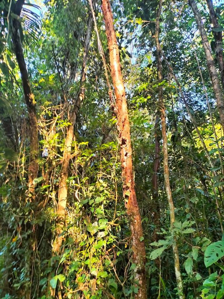 listing image with ID 64769