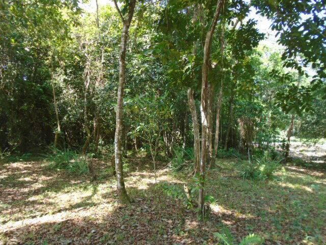 listing image with ID 64801