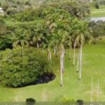 listing image thumbnail with ID 67749