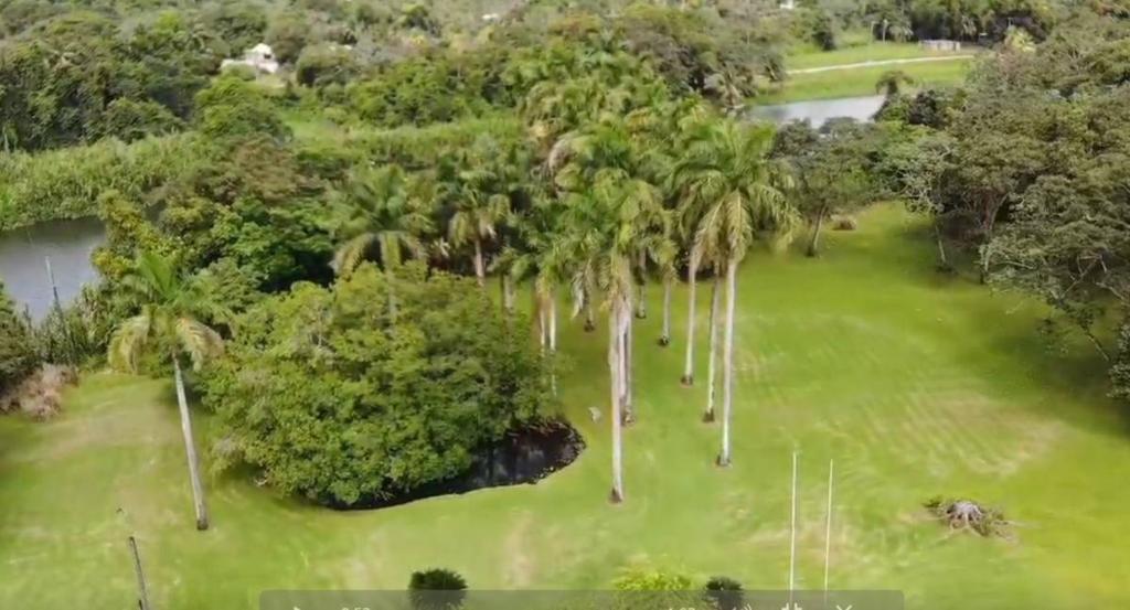 listing image with ID 67749