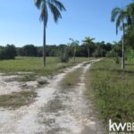 listing image thumbnail with ID 69350