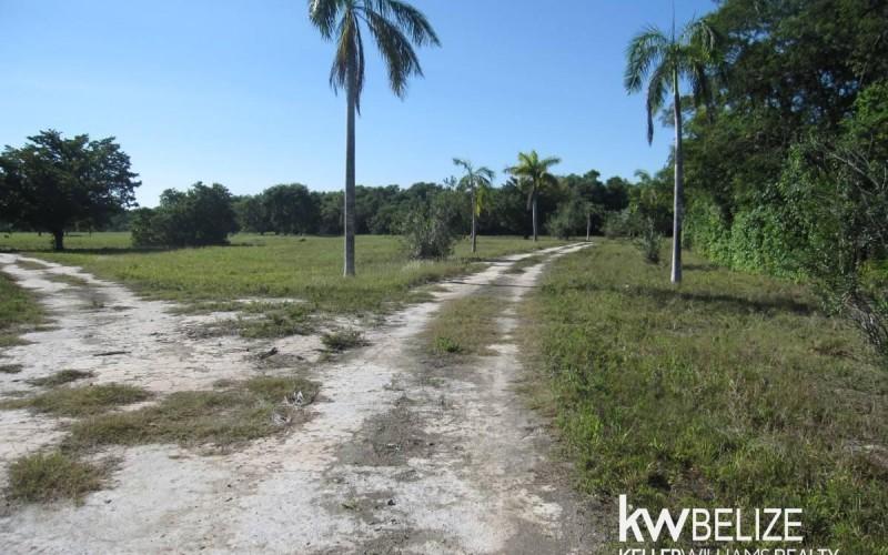 listing image with ID 69350