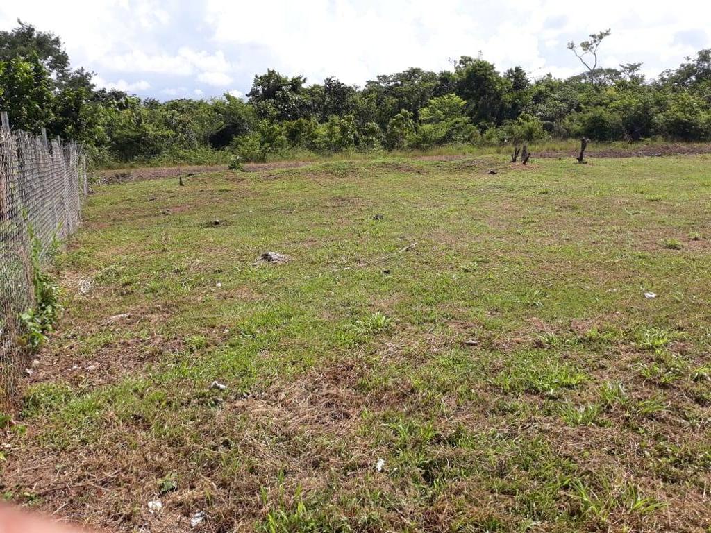 listing image with ID 67038