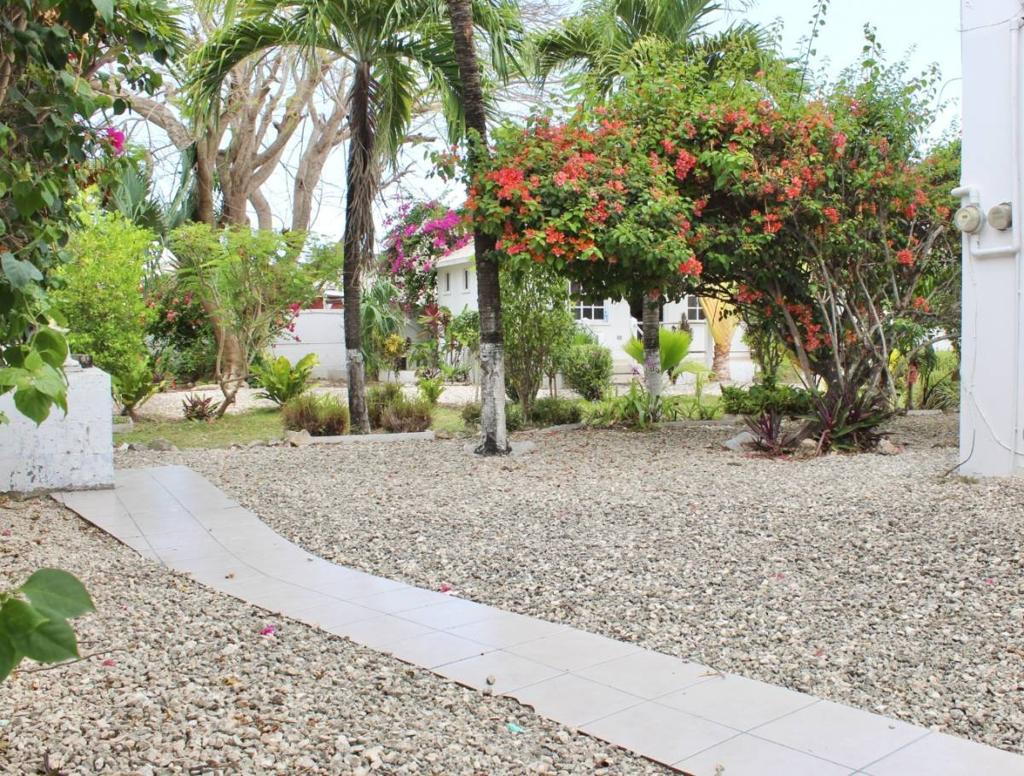 listing image with ID 67144