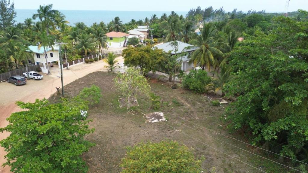 listing image with ID 64551