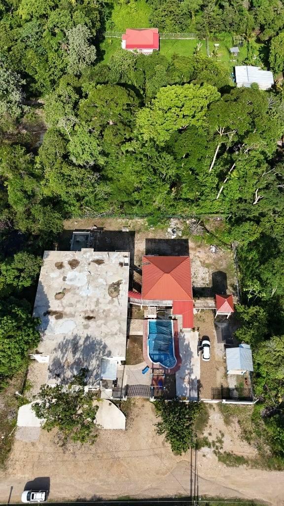 listing image with ID 64739