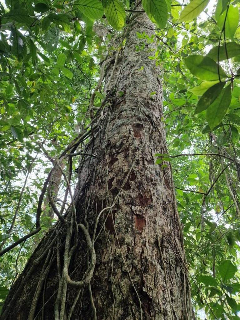 listing image with ID 63977