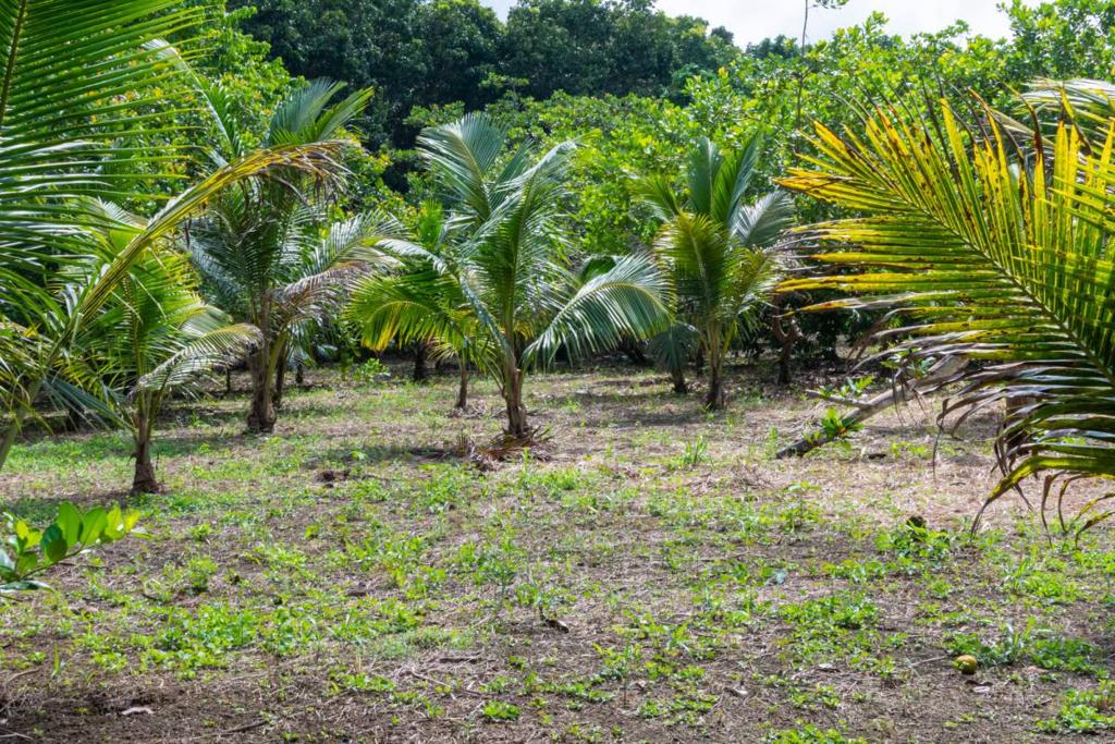 listing image with ID 67672