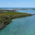 listing image thumbnail with ID 65991