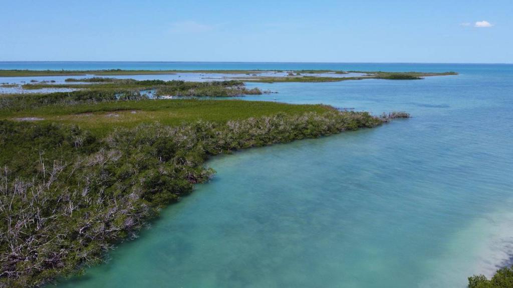 listing image with ID 65991