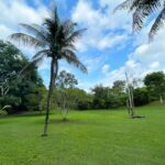 listing image thumbnail with ID 66696