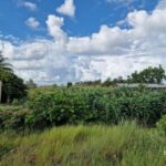 listing image thumbnail with ID 68242