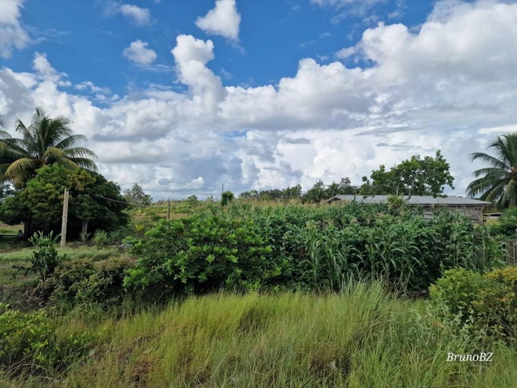 listing image with ID 68242