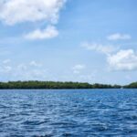 listing image thumbnail with ID 66846