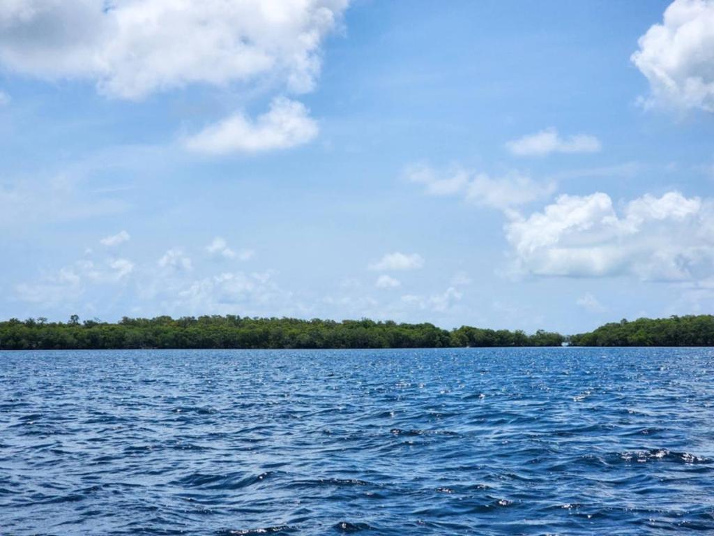 listing image with ID 66846