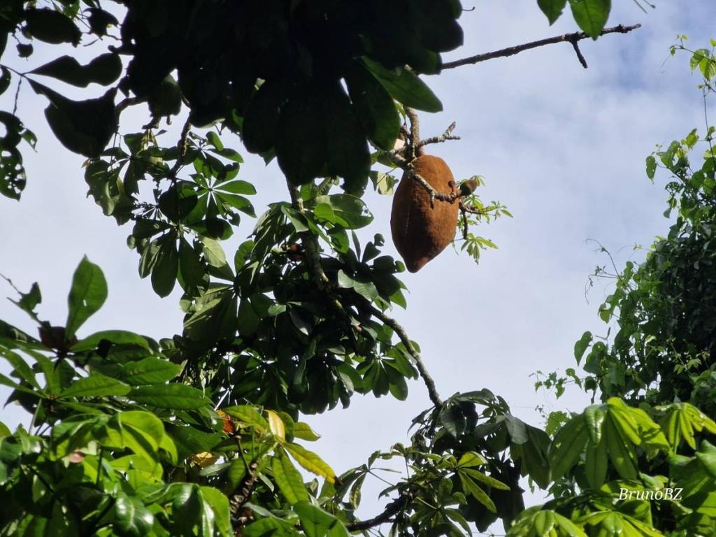 listing image with ID 67538