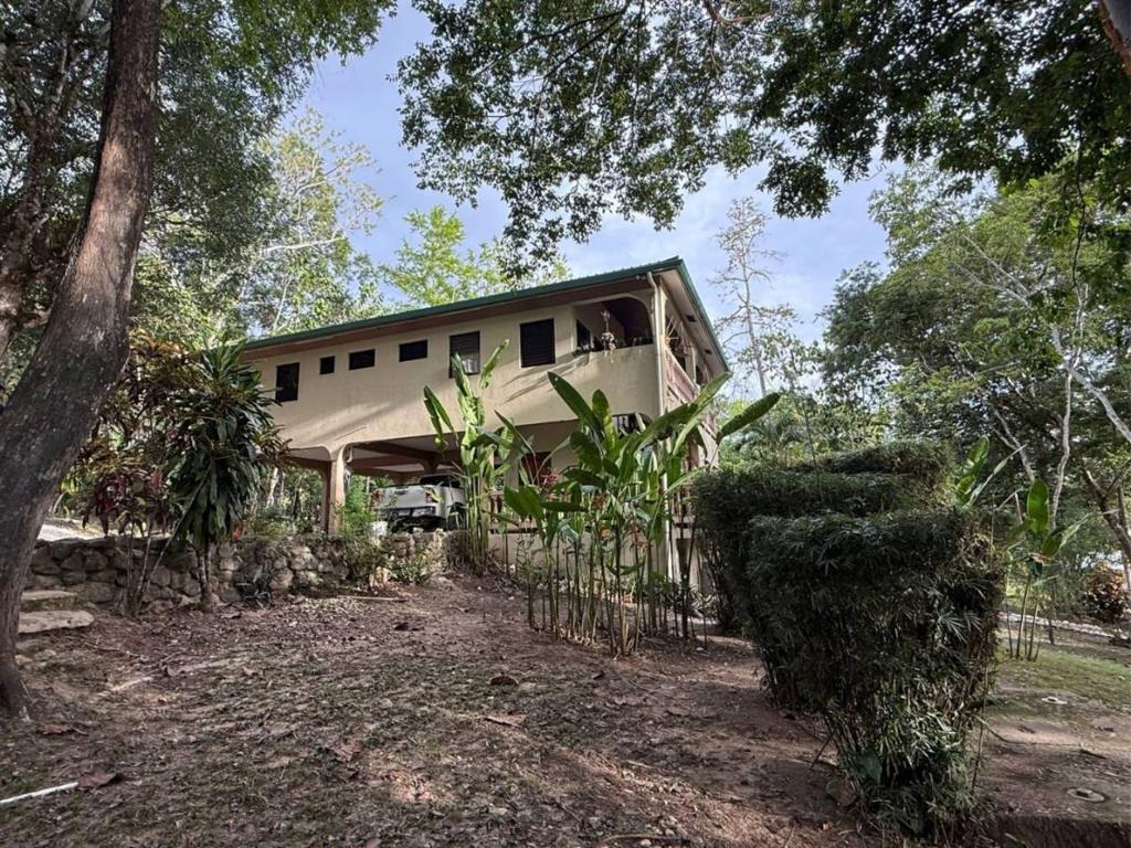 listing image with ID 65611