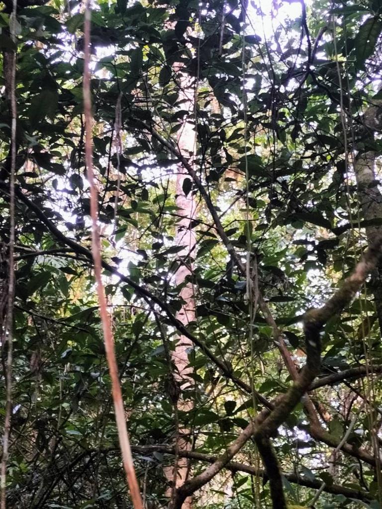 listing image with ID 64776