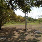 listing image thumbnail with ID 64446