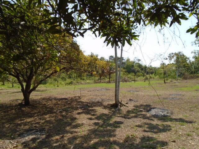 listing image with ID 64446