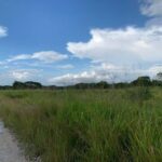 listing image thumbnail with ID 65031