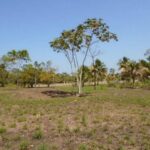 listing image thumbnail with ID 64454